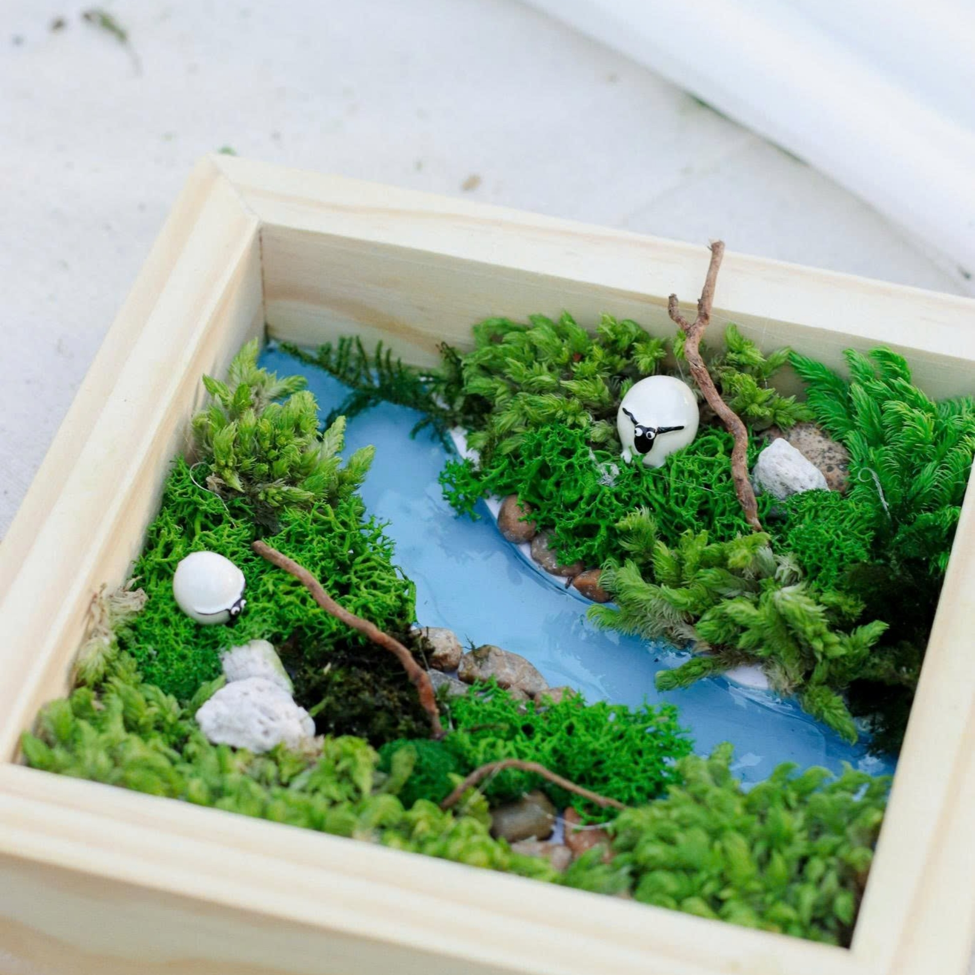 Moss Frame Workshop