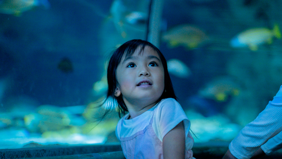 DSCF0707-905x510