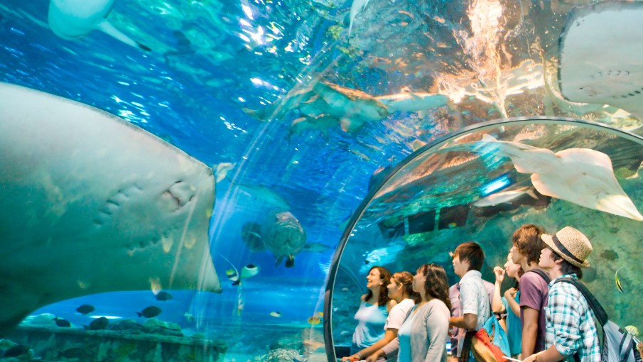 Aquarium1