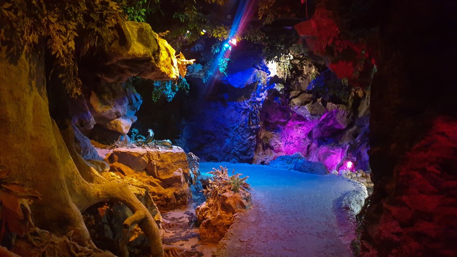 Aquarium2