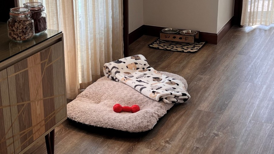 pet-friendly 2 (905 x 510)