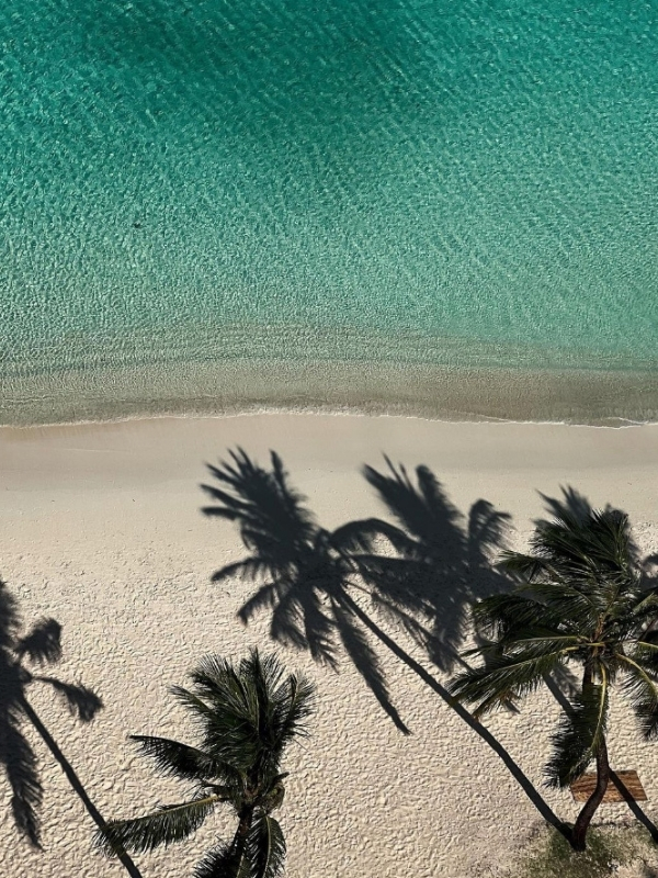 beach 600X800