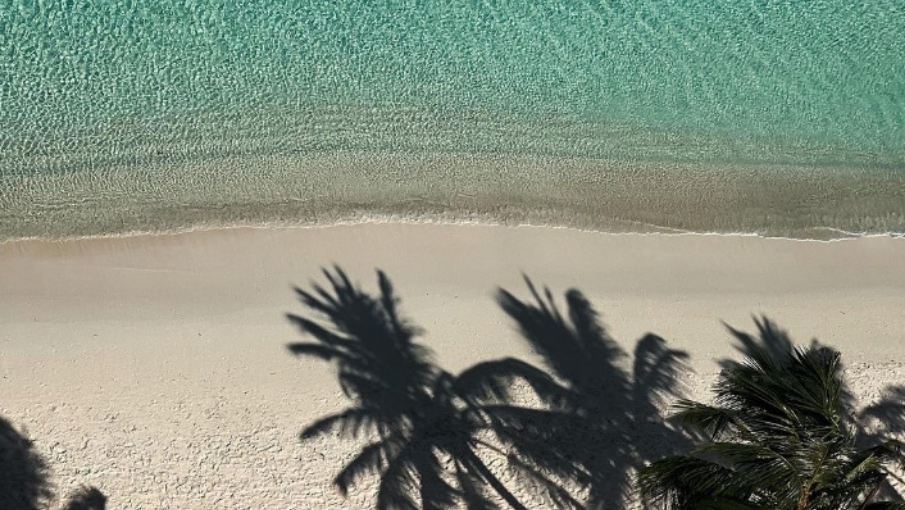 beach 905X510