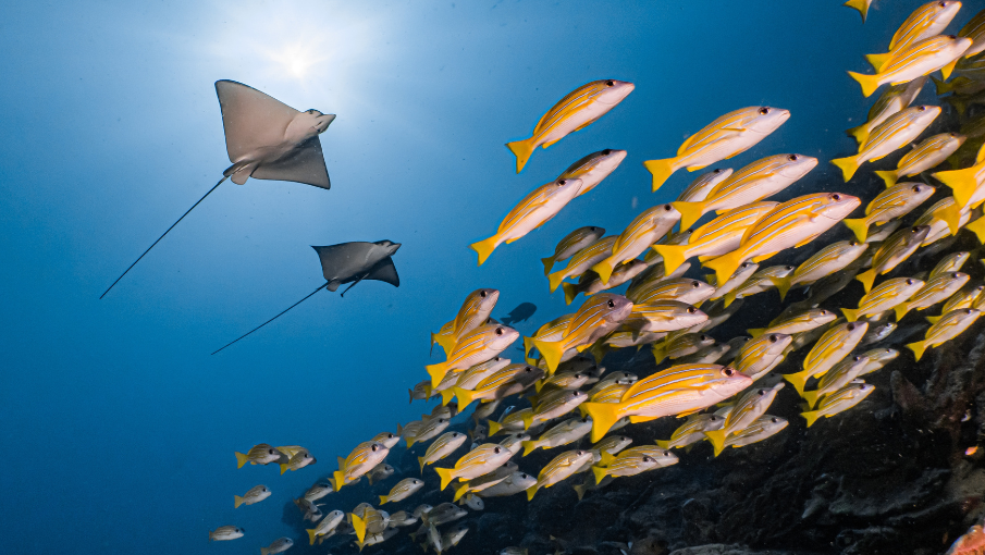 Untitled design (38)