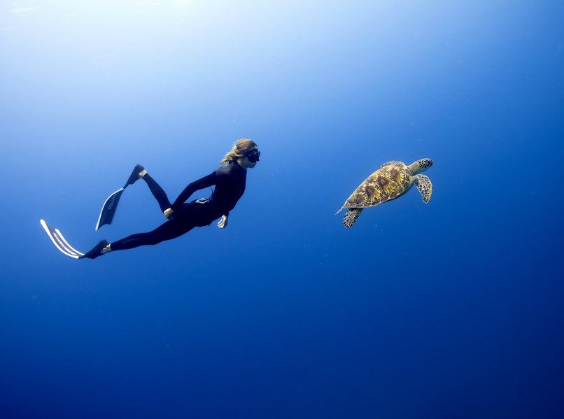 Silver Sands - Dive Centre & Water Sports