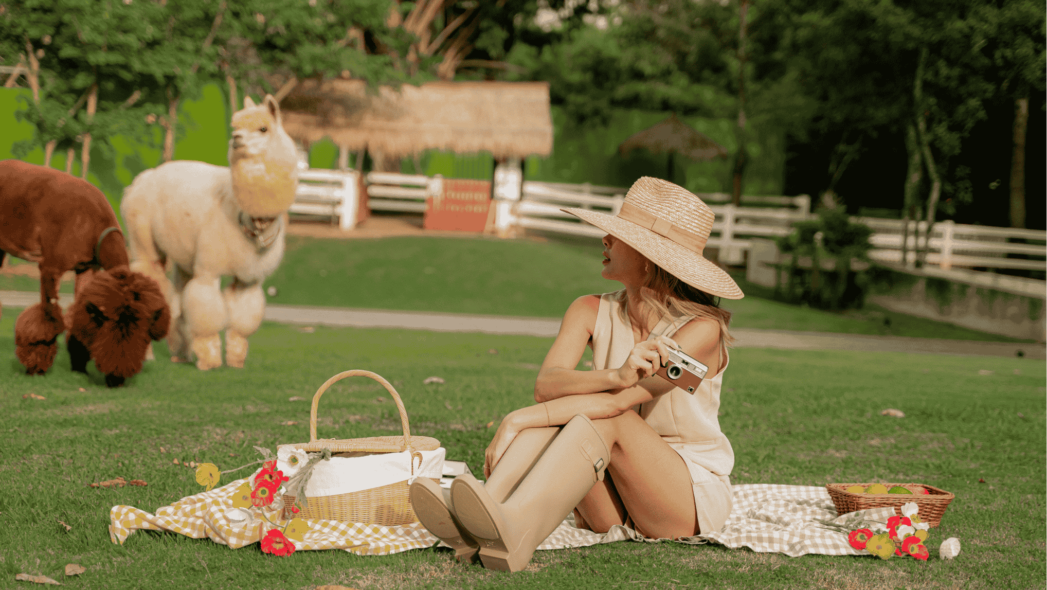 2025 D2KY (1040 x 1300 px) (3)