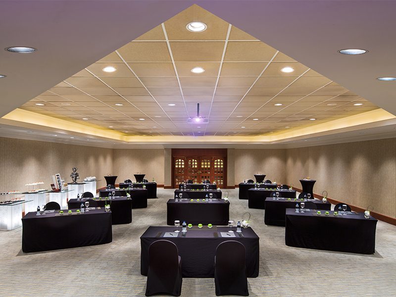 Ajman Meeting Room 2