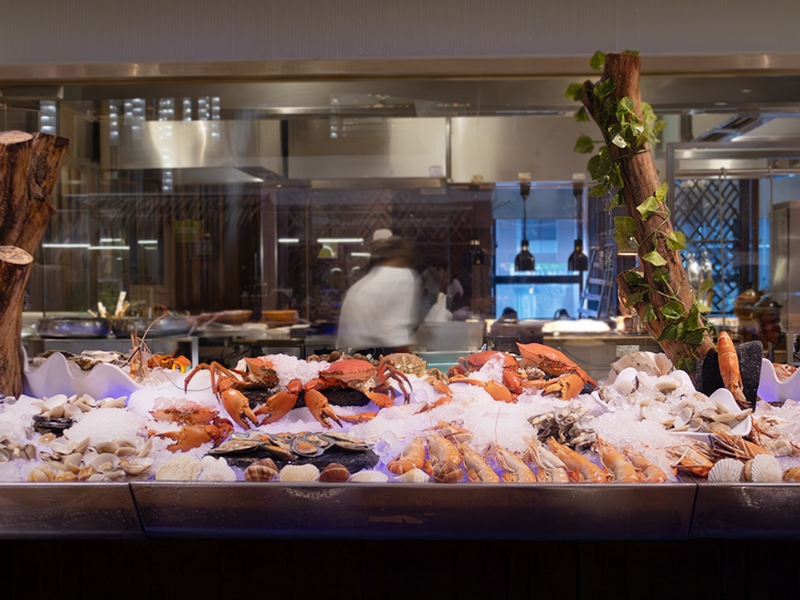 gallery -800x600 (11)