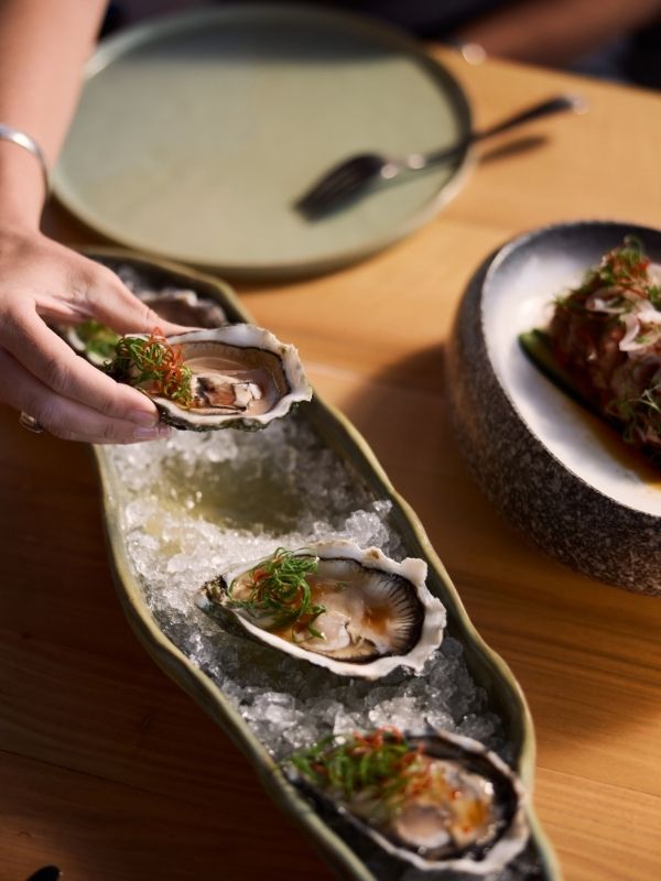 Untitled design (26)