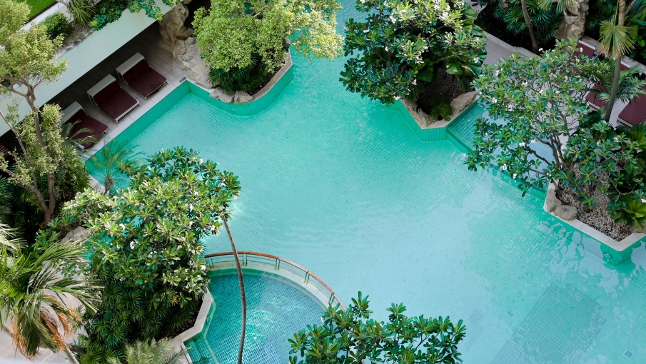 DSRB-Hero image-Desktop 905x510 px (31)