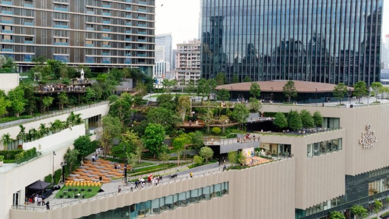 DTBK-offer-905x510px (18)