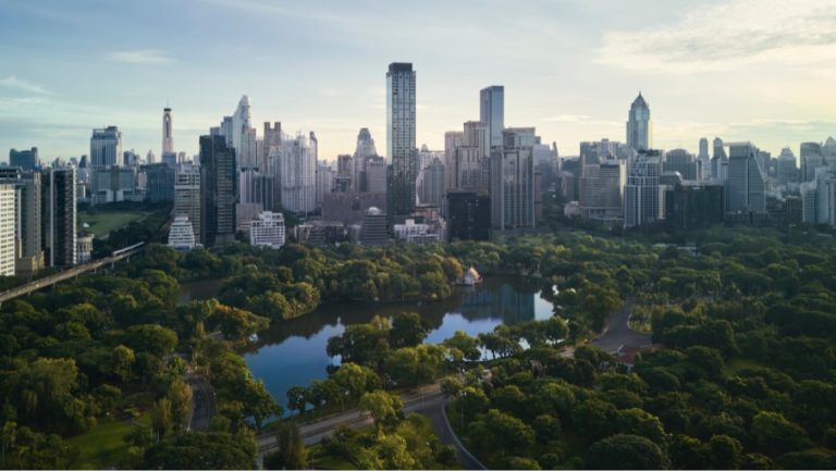 DTBK-offer-905x510px (19)