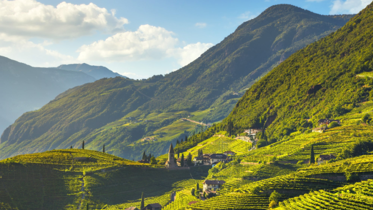 offer-cannubiwine-alto (1)