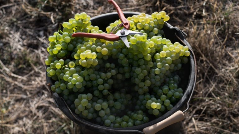 DTBK-offer-905x510px (1)