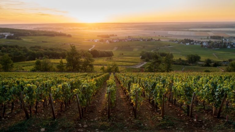 DTBK-offer-905x510px