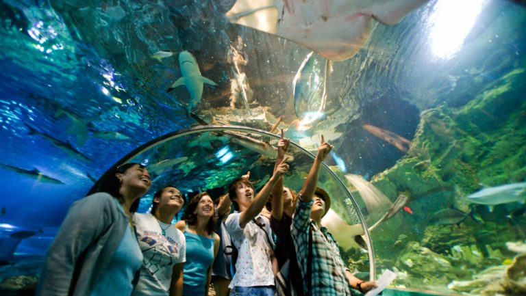 DUSIT-BEACH-+-UWW-PASSES-905x510