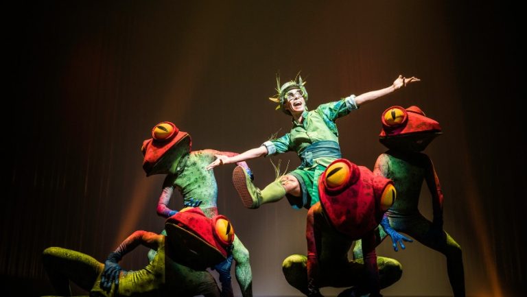 DT_Karera_5(905 x 510 px)