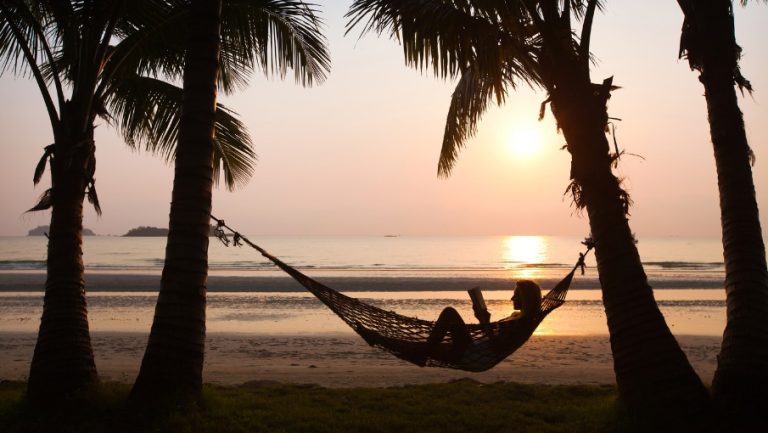 DT Black Friday 905x510