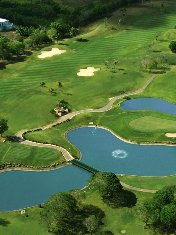 Sono golf 600x800px