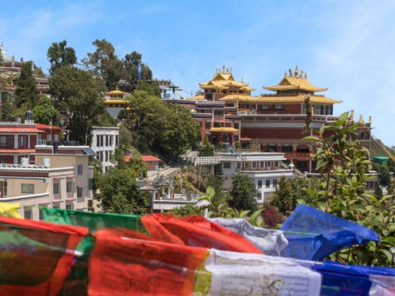 Meditate with Monks Gallery (4)