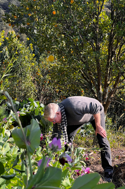 The Organic Farm Experience with Harvest Lunch