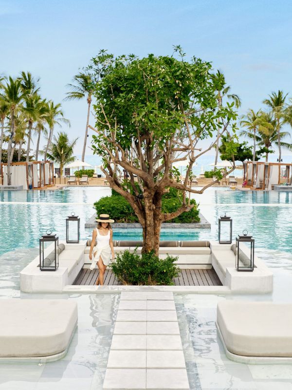 DTHH - Advance Saver - Hero Mobile 600 x 800 px