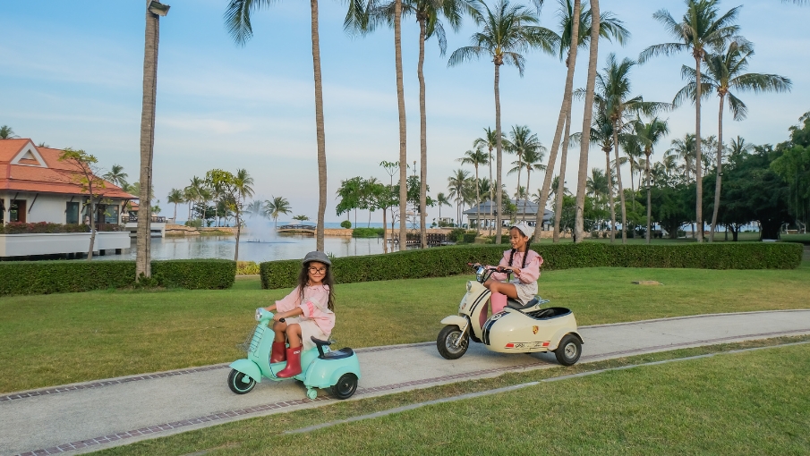DTHH-Gallery-SideCar-905x510-7