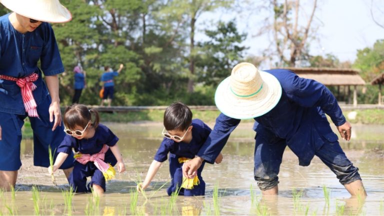 KidsFarmLife-Web-Gallery-905x510-2