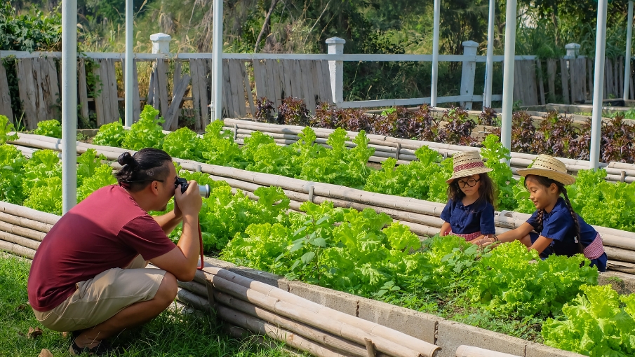 KidsFarmLife-Web-Gallery-905x510-3