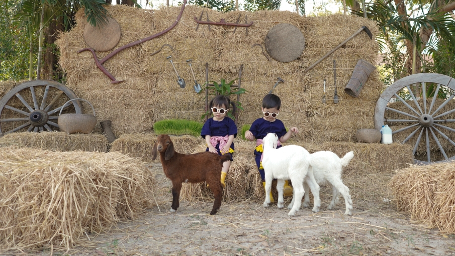KidsFarmLife-Web-Gallery-905x510-5