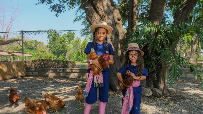 KidsFarmLife-Web-Gallery-905x510-7