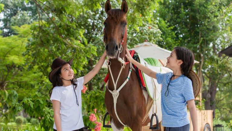 DTHH - Offer Photo 905 x 510 px_06