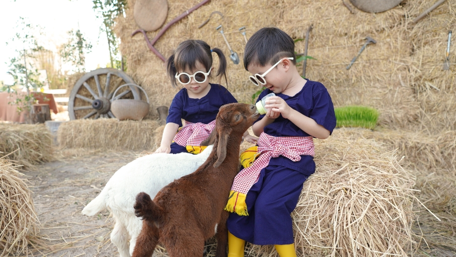 School Break Escape 2026_905x510_005