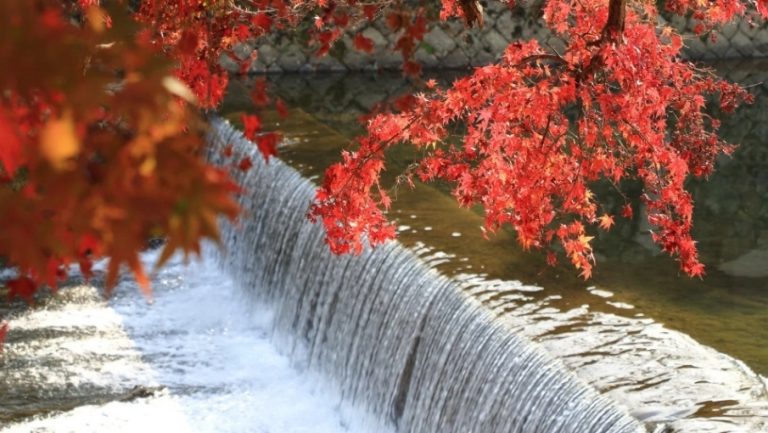 Hero Image 905x510 (26)