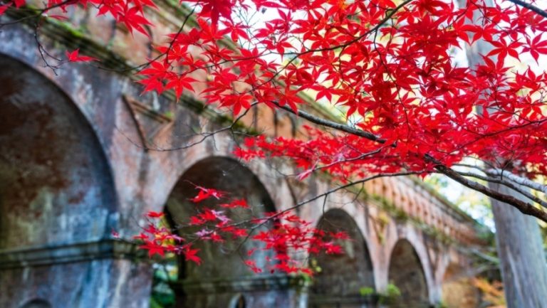 Hero Image 905x510 (28)