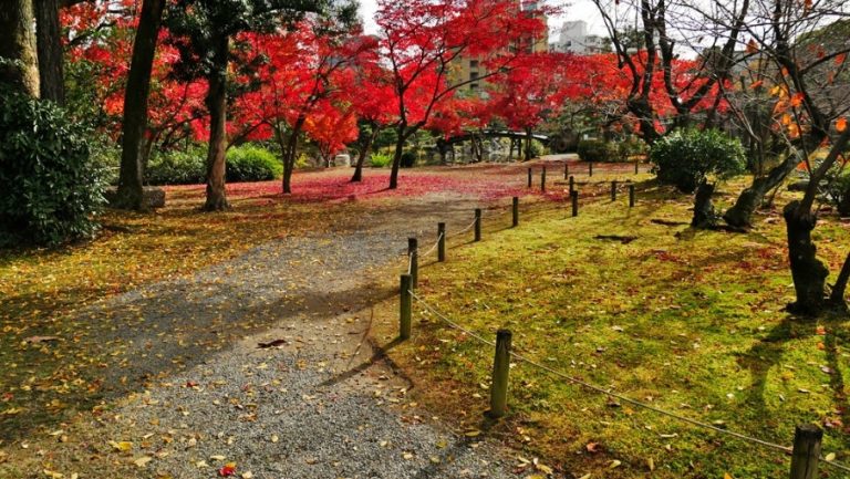 Hero Image 905x510 (30)