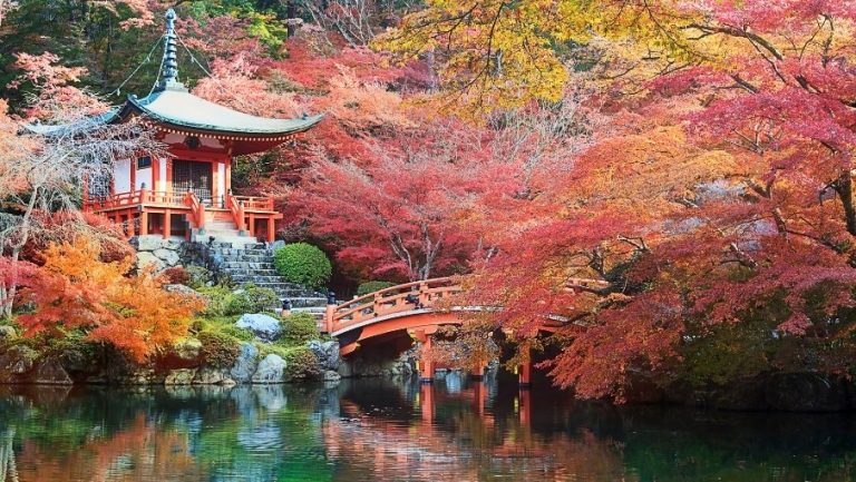 Hero Image 905x510 (96)