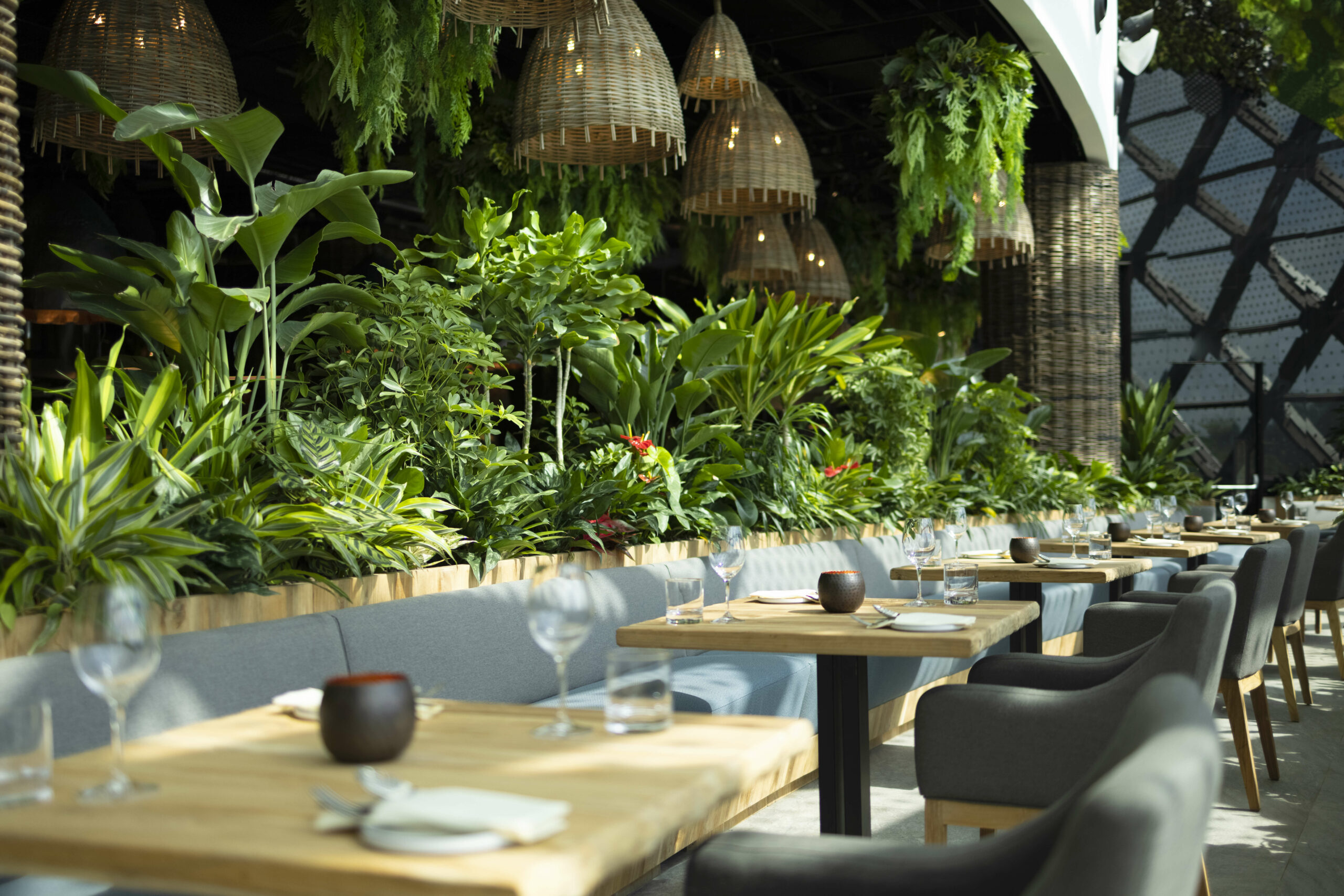 dusit-thani-laguna-singapore-dining-greenhouse-restaurant