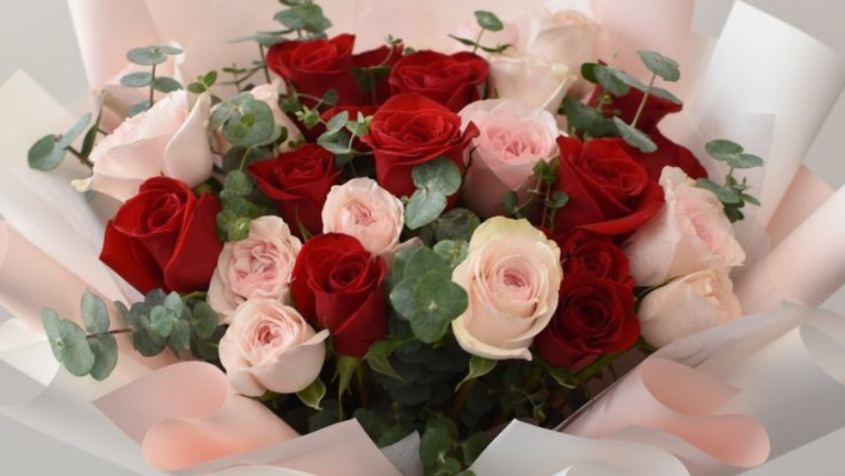 WS 905 x 510 Gallery