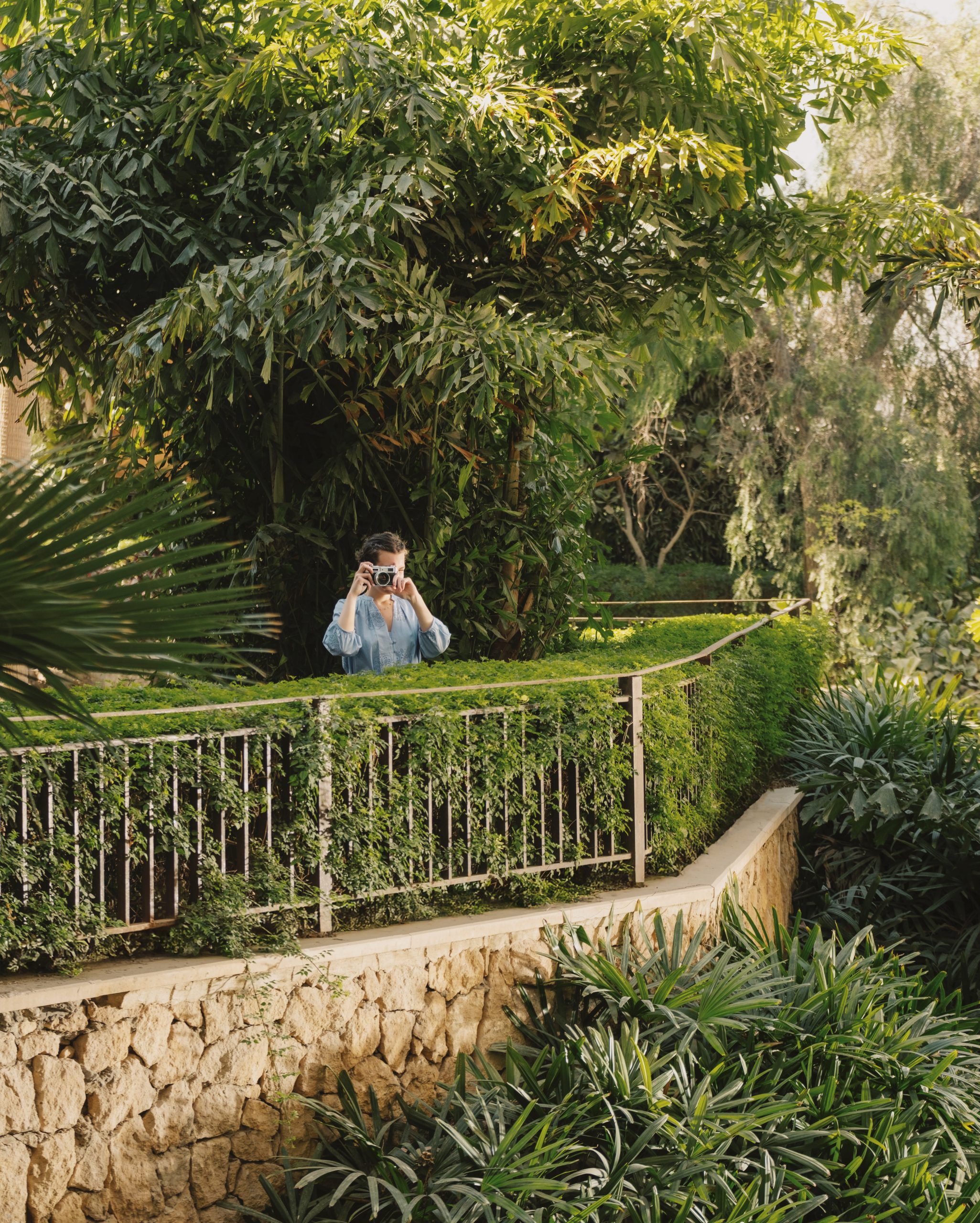 Processed with VSCO with fp8 preset