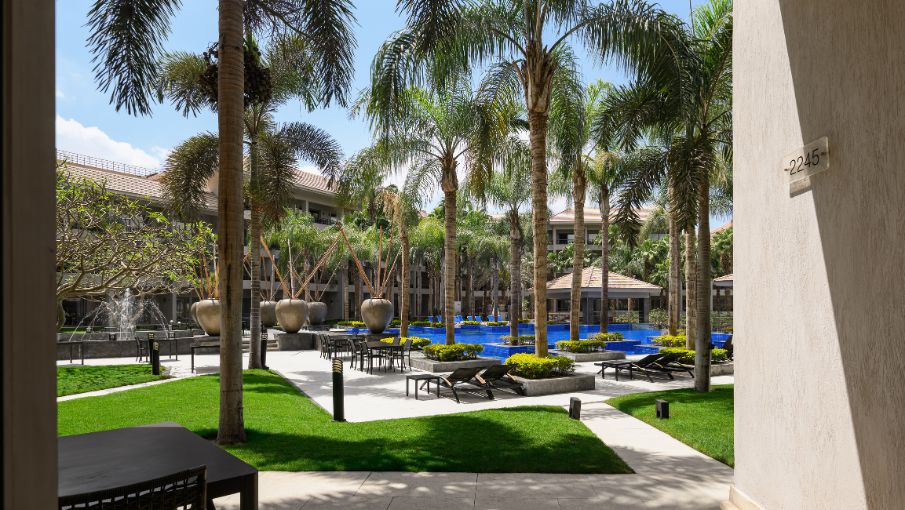 Untitled (905 x 510 px) (4)