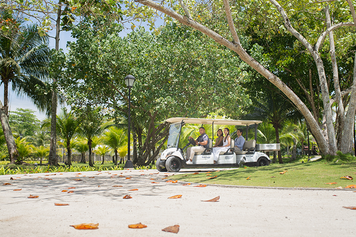 Guest Cart