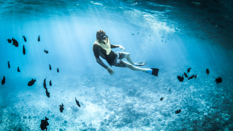 Island Escape Adventure