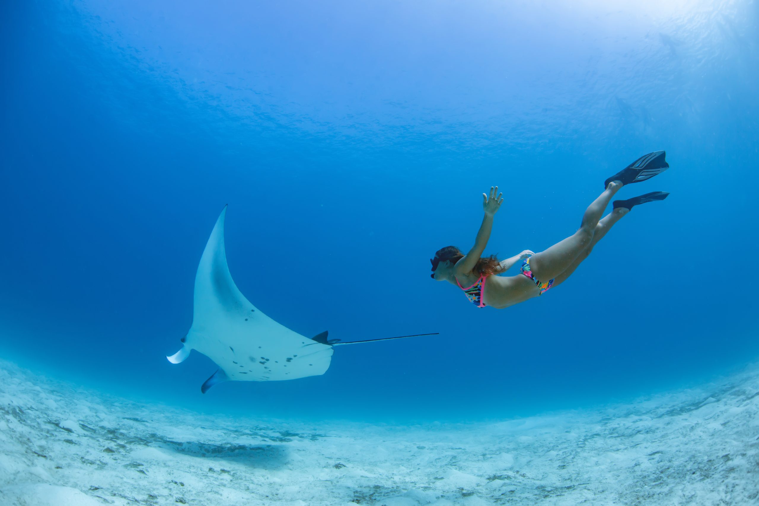Ocean,Water,Background,Underwater,Manta,And,Girl,Diving