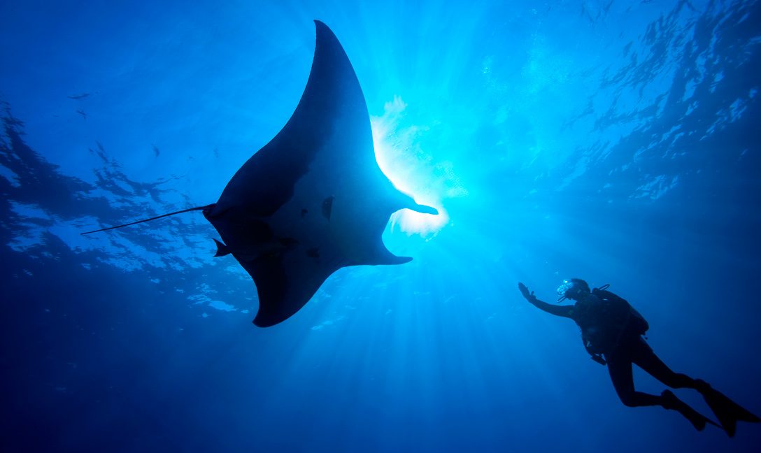 Maldives Dive Centre
