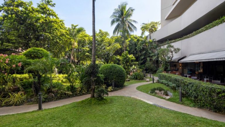 Website Page Offers (19)