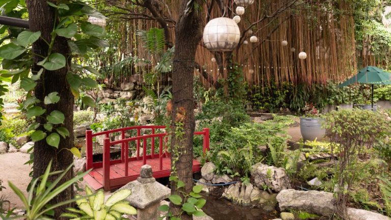 Website Page Offers (20)