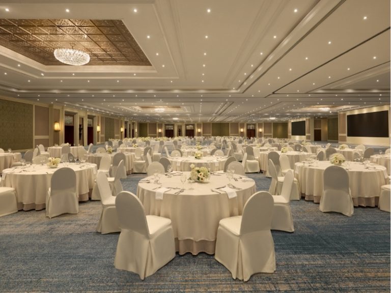 DTPA-MICE-Napalai-feature image 800x600px (2)