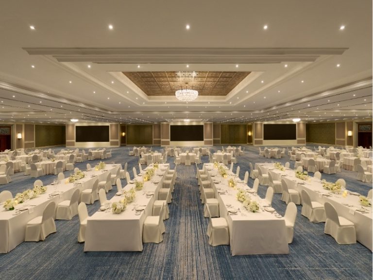 DTPA-MICE-Napalai-feature image 800x600px