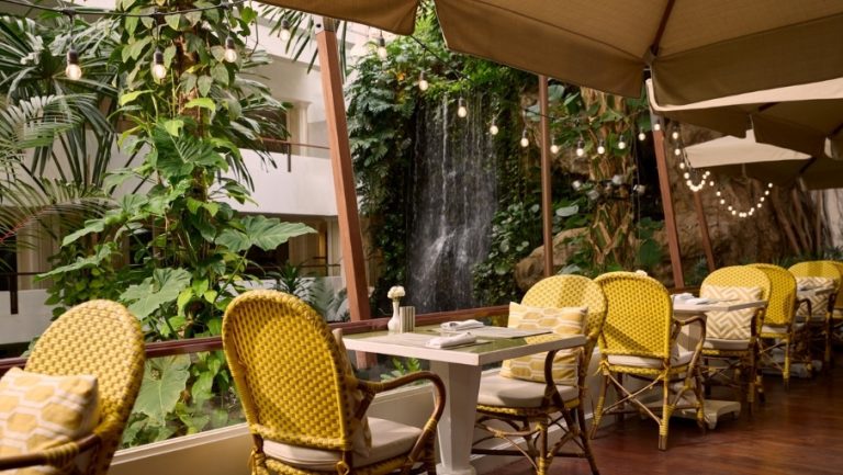 DTPA-website-offer-720x480px-Cascade Restaurant Terrace
